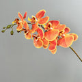Phalaenopsis Orchideenzweig 100 cm | Real Touch Kunstblume in Herbstfarben | 7 Blüten Ø 10 cm | Echt anfühlend für hohe Vasen, Hochzeit & Deko