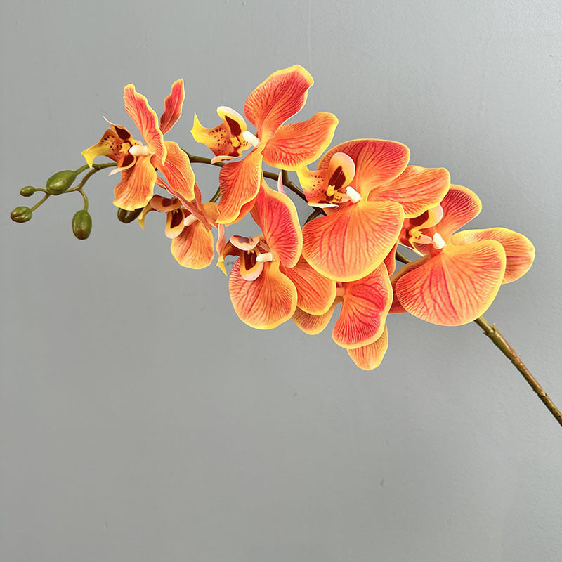 Phalaenopsis Orchideenzweig 100 cm | Real Touch Kunstblume in Herbstfarben | 7 Blüten Ø 10 cm | Echt anfühlend für hohe Vasen, Hochzeit & Deko