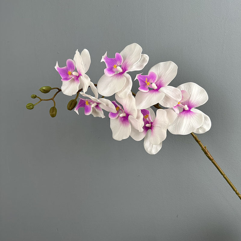 Phalaenopsis Orchideenzweig 100 cm | Real Touch Kunstblume in Herbstfarben | 7 Blüten Ø 10 cm | Echt anfühlend für hohe Vasen, Hochzeit & Deko