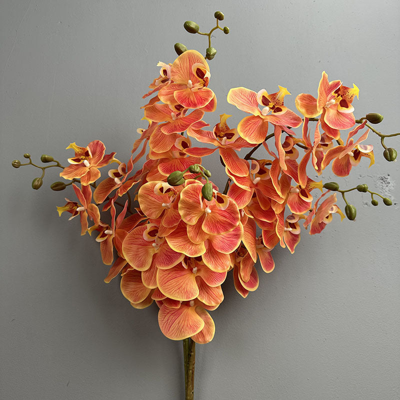 Phalaenopsis Orchideenzweig 100 cm | Real Touch Kunstblume in Herbstfarben | 7 Blüten Ø 10 cm | Echt anfühlend für hohe Vasen, Hochzeit & Deko