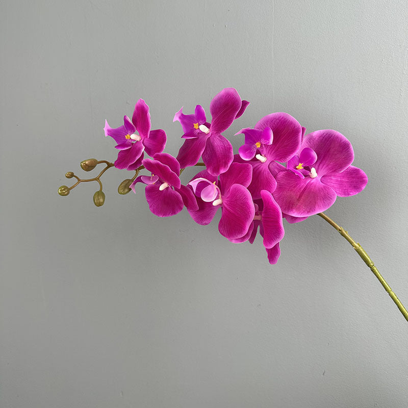 Phalaenopsis Orchideenzweig 100 cm | Real Touch Kunstblume in Herbstfarben | 7 Blüten Ø 10 cm | Echt anfühlend für hohe Vasen, Hochzeit & Deko