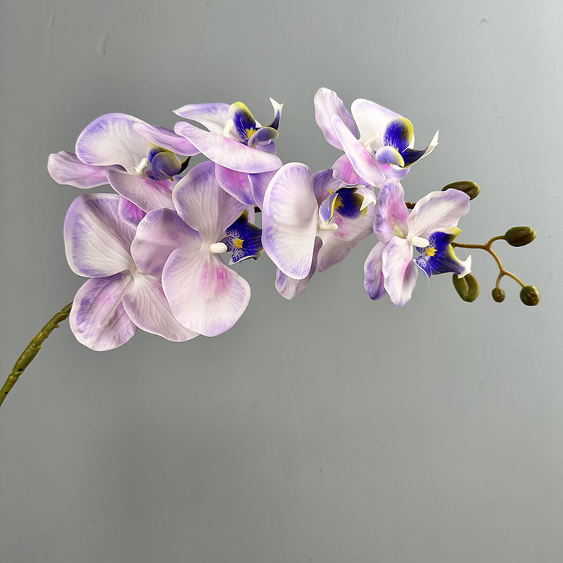 Phalaenopsis Orchideenzweig 100 cm | Real Touch Kunstblume in Herbstfarben | 7 Blüten Ø 10 cm | Echt anfühlend für hohe Vasen, Hochzeit & Deko