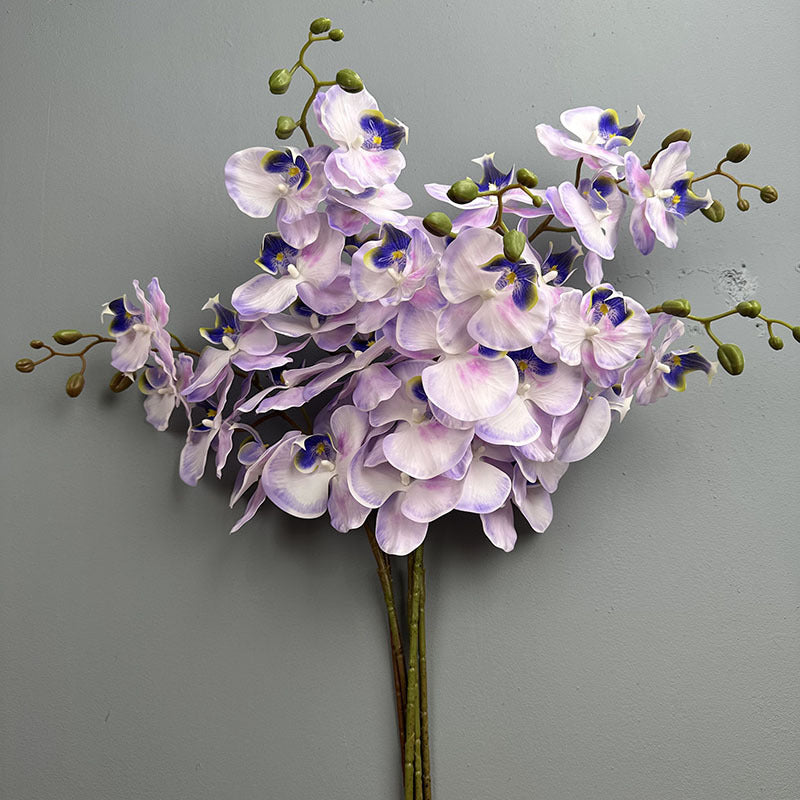 Phalaenopsis Orchideenzweig 100 cm | Real Touch Kunstblume in Herbstfarben | 7 Blüten Ø 10 cm | Echt anfühlend für hohe Vasen, Hochzeit & Deko