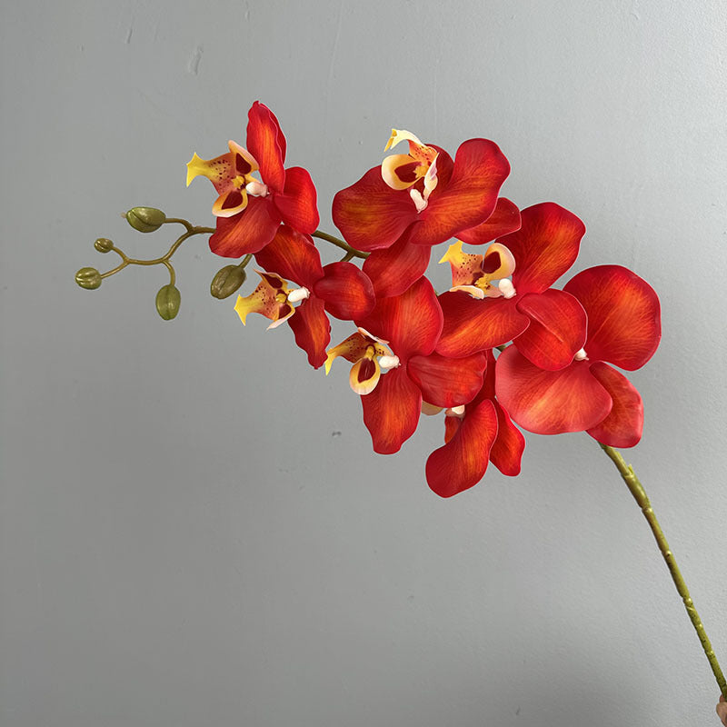Phalaenopsis Orchideenzweig 100 cm | Real Touch Kunstblume in Herbstfarben | 7 Blüten Ø 10 cm | Echt anfühlend für hohe Vasen, Hochzeit & Deko