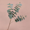 Künstlicher Eukalyptuszweig 50 cm, Silberdollar-Eukalyptus, realistischer Dekozweig für Vase, Hochzeit, Floristik, langlebige Kunstpflanze