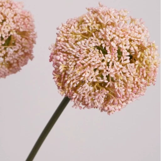 Zierlauch künstlich 75cm, Allium Kunstblume täuschend echt, Dekozweig für Vase, Hochzeit & Gastronomie, hochwertige Alliumkugel