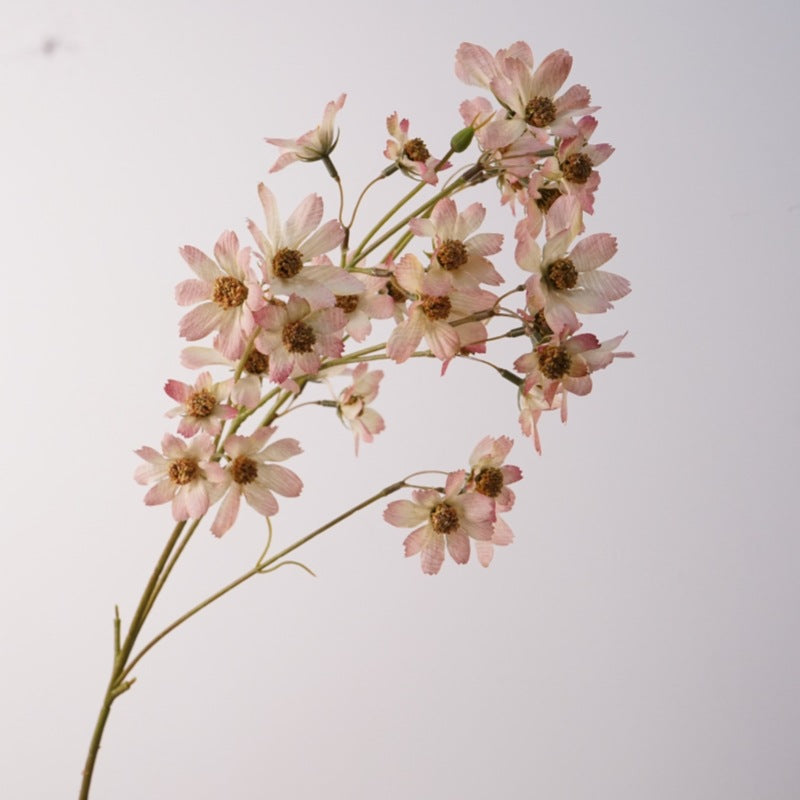 Hochwertige künstliche Kosmee, 79 cm, Real-Touch Seide, cremefarben, für Hochzeitsdekoration, Hausdekoration, Fotografie
