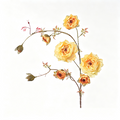 Seidenblumenstrauß aus Real-Touch-Seide, 75 cm, 7 Blüten, Lotosblüte, für Wohnzimmer, Hochzeiten, Einzelhandel
