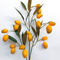 Realistische Kunstmango, 100 cm, Mixed Material, Dekoration für Zuhause, Hochzeiten, Fotografie