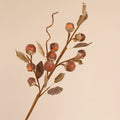 Trockenzweige mit Luo Han Guo, 67 cm, natürliches Aussehen, für Vasen, Hochzeitsdekoration, Innenraumdesign