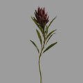 Künstliche Protea Blüte (Königsprotea) in Herbsttönen, 63 cm Länge, Real-Touch Seide, für Vasen, Hochzeitsdekoration, Wohnaccessoires
