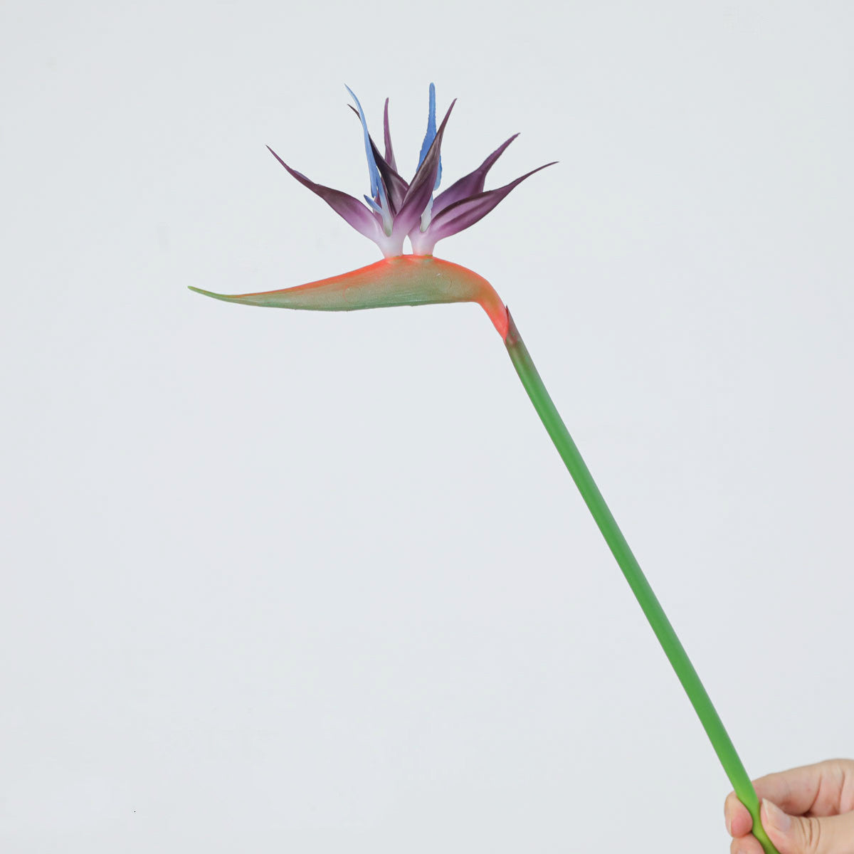 Paradiesvogelblume künstlich, 42 cm, Latex, hochrealistisch für Hochzeit, Hotel, Bürodeko, Innenraum, ohne Topf
