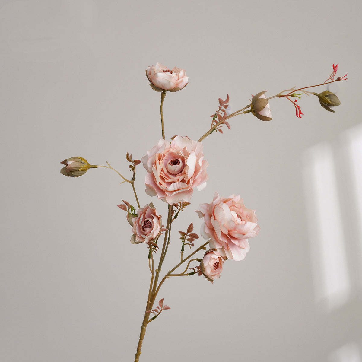 90 cm künstliche Ranunkel-Zweig mit 8 Blüten, Seidenblumen, Beige, Hochzeit Dekoration, Innenraum, Event, Grabschmuck