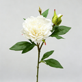 Künstliche Pfingstrose, 67 cm hoch, 2 Blüten, 12 cm Durchmesser, für Wohnraumdekoration, Hochzeiten, Einzelhandel