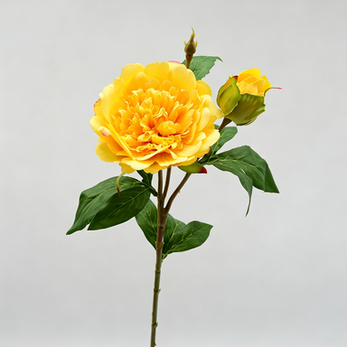 Künstliche Pfingstrose, 67 cm hoch, 2 Blüten, 12 cm Durchmesser, für Wohnraumdekoration, Hochzeiten, Einzelhandel