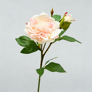 Künstliche Pfingstrose, 67 cm hoch, 2 Blüten, 12 cm Durchmesser, für Wohnraumdekoration, Hochzeiten, Einzelhandel