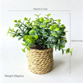 Künstliche Pflanze im Topf, 15 cm, Baby’s Breath-Cluster, gemischtes Material, für Zuhause, Büro, Hoteldekoration, langlebig