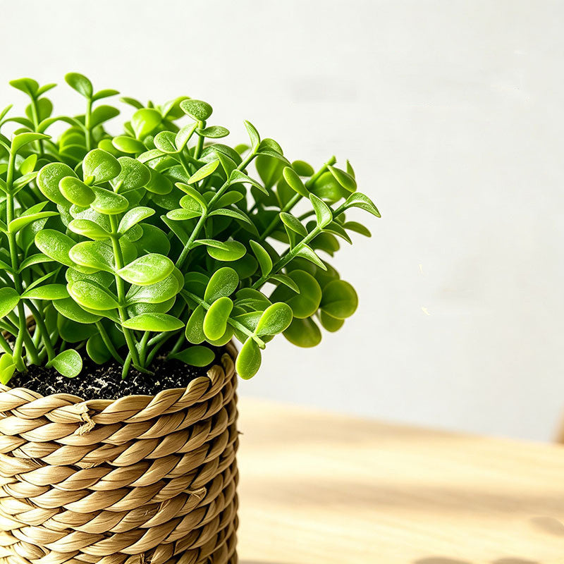 Künstliche Pflanze im Topf, 15 cm, Baby’s Breath-Cluster, gemischtes Material, für Zuhause, Büro, Hoteldekoration, langlebig
