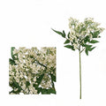 Künstliche Nandina-Beeren, 40 cm, realistischer Busch, für Hochzeitsdeko, Trauerfloristik und Innenraumgestaltung