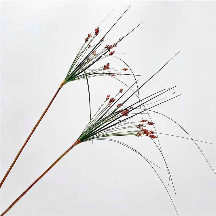 Künstliche Schilfgras-Deko, 135 cm, PE/PVC, 2 Stk., modern, für Büro, Hotel, Schaufenster, Innenbereich