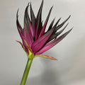 Künstliche Phoenix-Blume, 85 cm, Latex-Material, Schwarz-Lila, Orange-Rot, Weinrot, für Büro, Hotel, Schaufensterdekoration