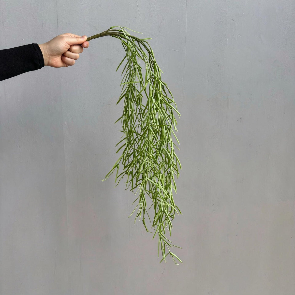 Künstliche Hängepflanze, Asparagus Farn, 90 cm Länge, für Wohnraum und Büro