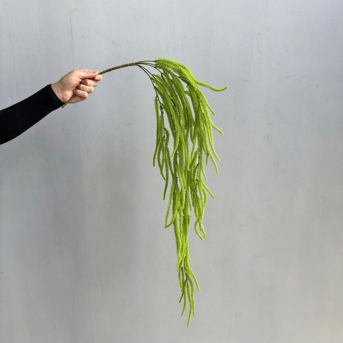 Künstliche Hängepflanze, Asparagus Farn, 90 cm Länge, für Wohnraum und Büro