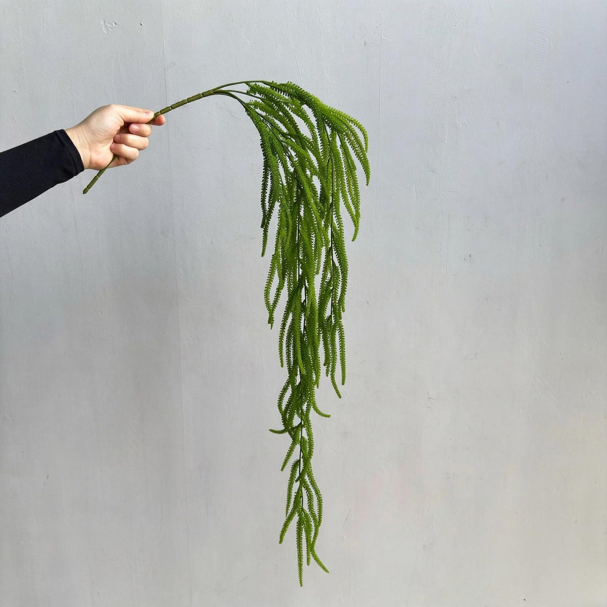 Künstliche Hängepflanze, Asparagus Farn, 90 cm Länge, für Wohnraum und Büro