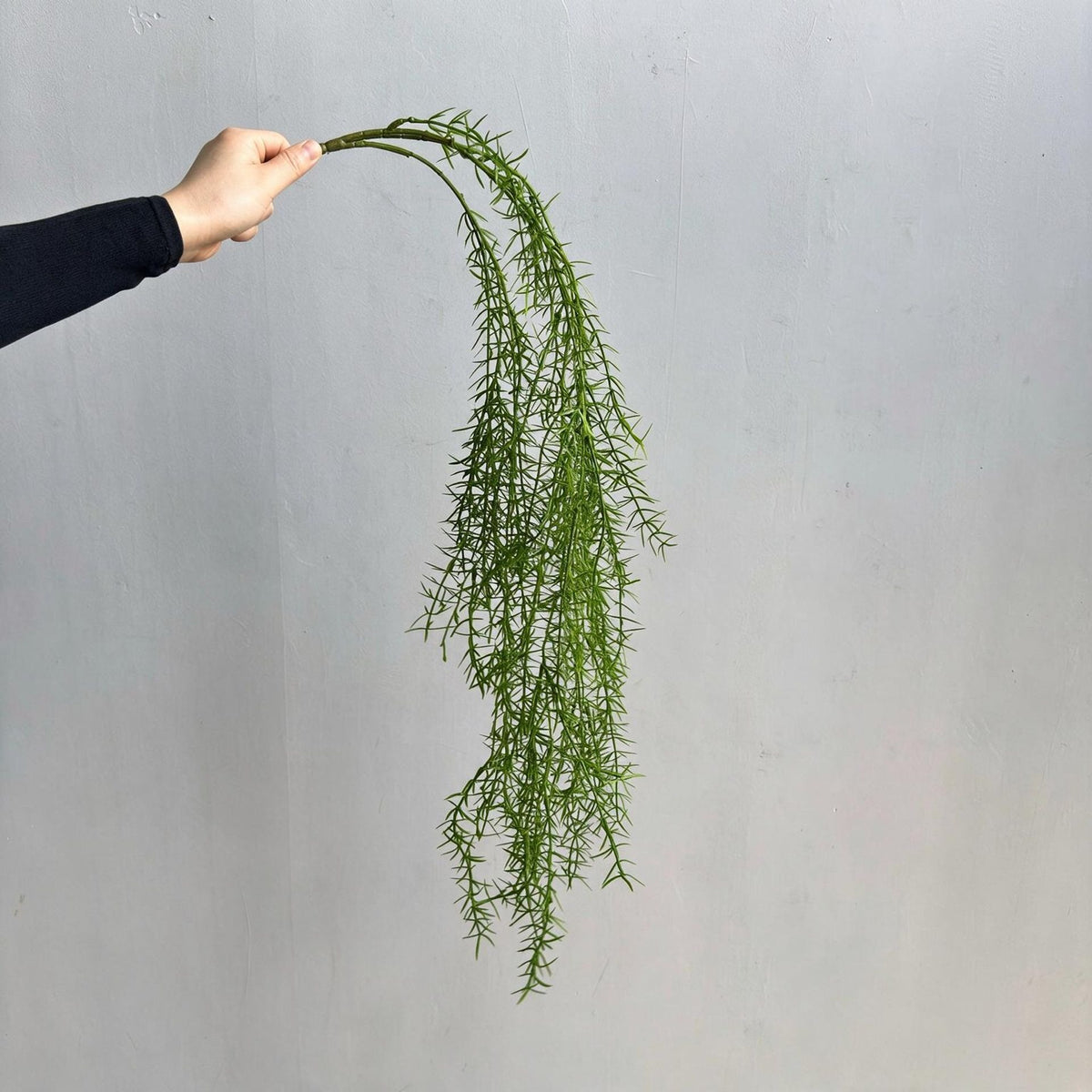 Künstliche Hängepflanze, Asparagus Farn, 90 cm Länge, für Wohnraum und Büro