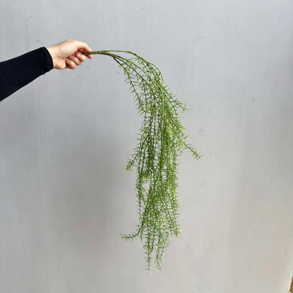 Künstliche Hängepflanze, Asparagus Farn, 90 cm Länge, für Wohnraum und Büro