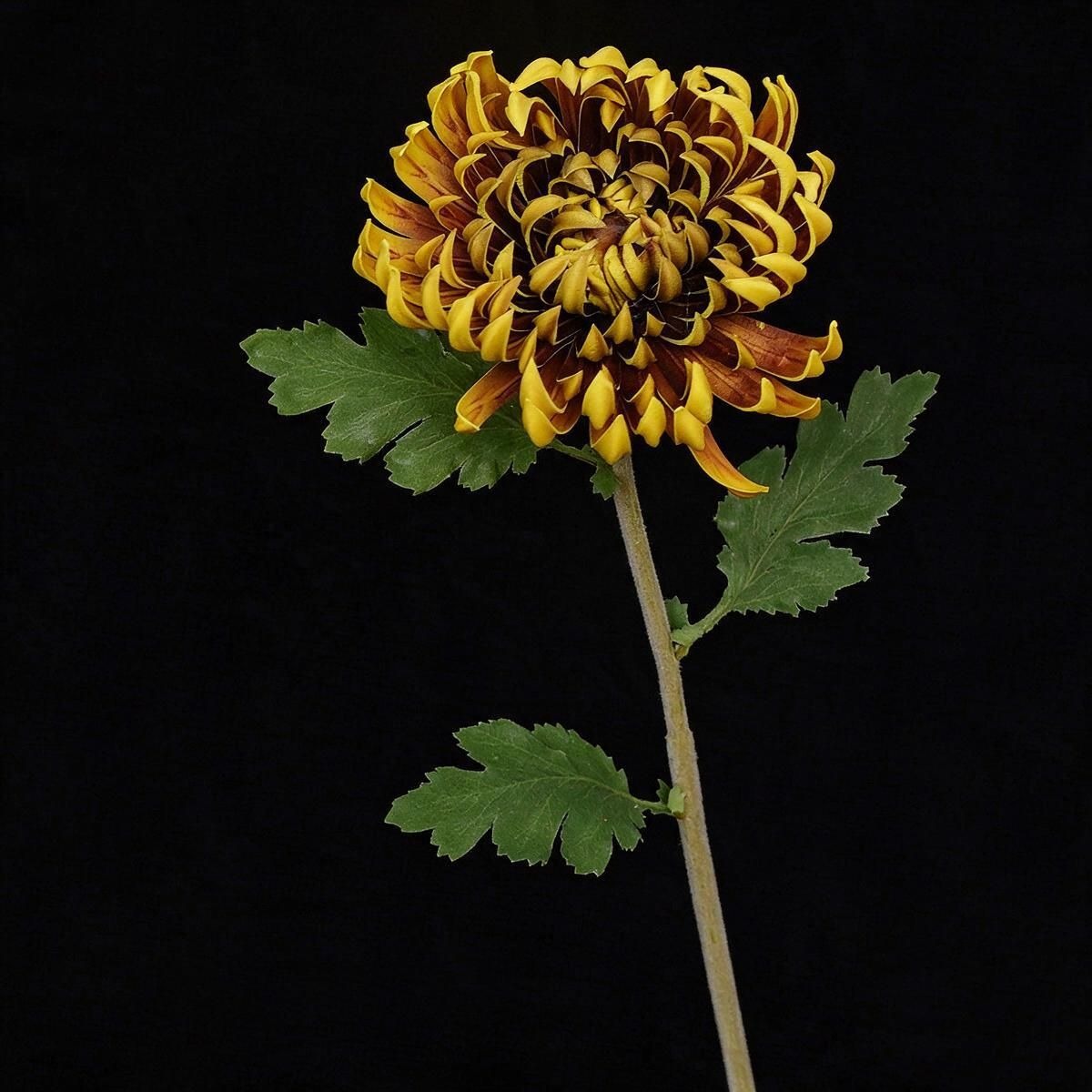 Künstliche Chrysantheme Einzelstiel, 59 cm hoch mit 11 cm Blütendurchmesser, aus seidigem Polyesterstoff für Hochzeiten und Home-Deko
