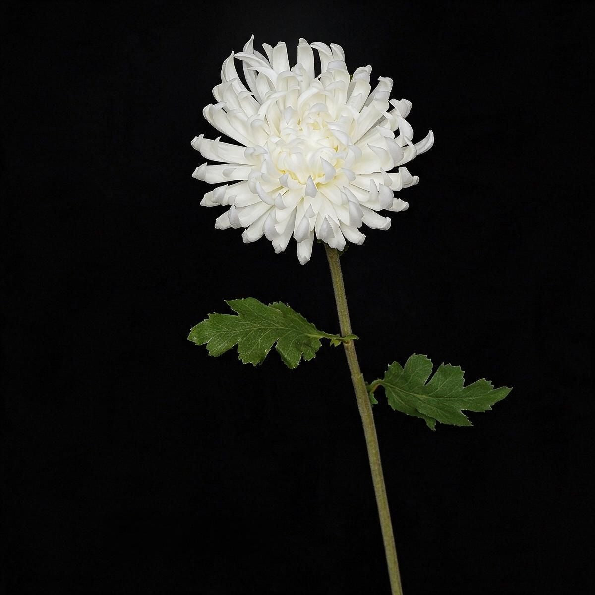 Künstliche Chrysantheme Einzelstiel, 59 cm hoch mit 11 cm Blütendurchmesser, aus seidigem Polyesterstoff für Hochzeiten und Home-Deko