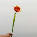 Künstliche Tulpe, einzelner Stängel mit 1 Blüte, 69 cm hoch, EVA-Material, für Hochzeiten, Wohnaccessoires und Gewerberäume