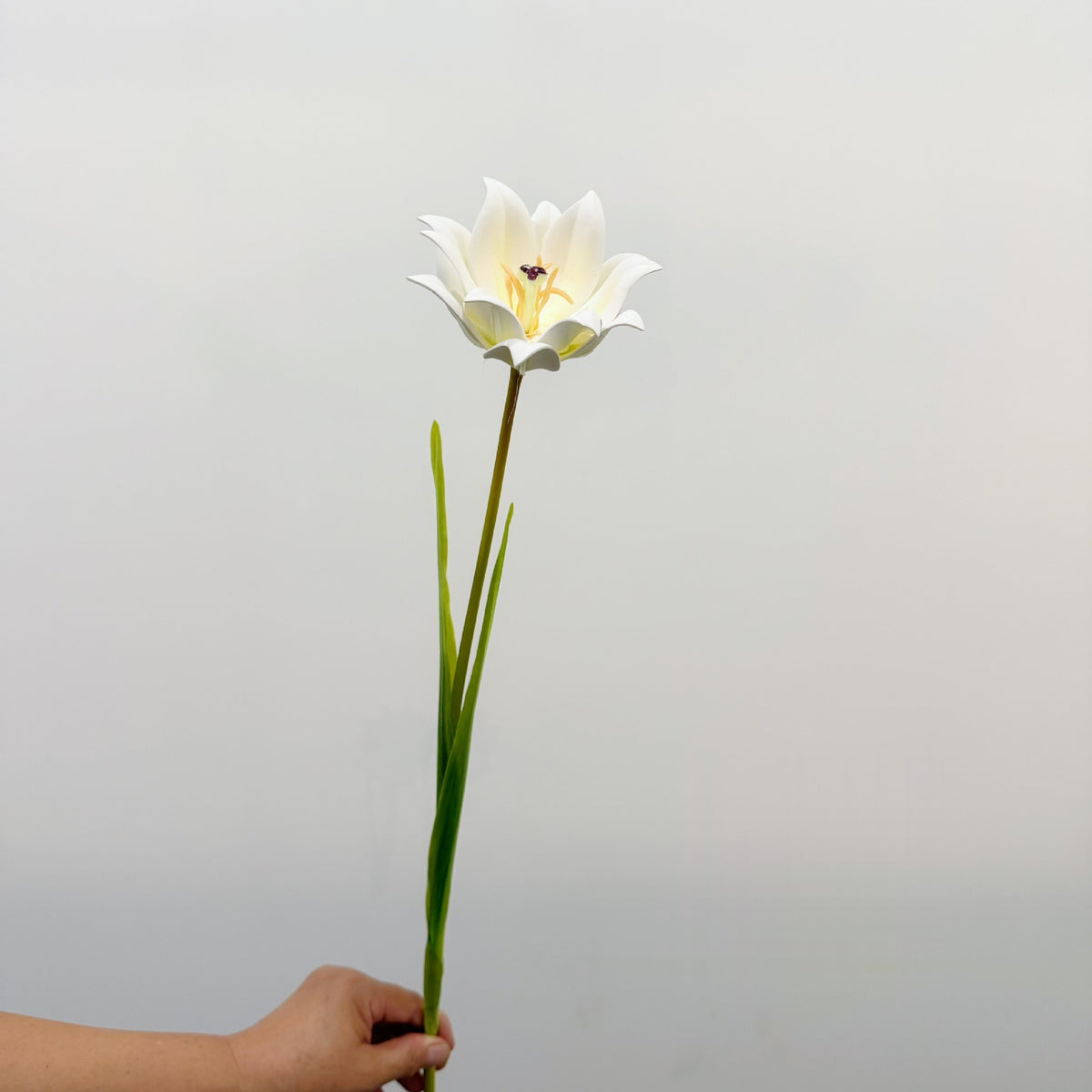 Künstliche Tulpe, einzelner Stängel mit 1 Blüte, 69 cm hoch, EVA-Material, für Hochzeiten, Wohnaccessoires und Gewerberäume