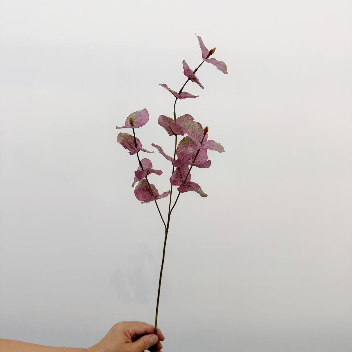 65 cm künstlicher Eukalyptus, 3-teilige Verzweigung, runde Blätter, Deko für Floristik, Hotel- und Gewerberäume