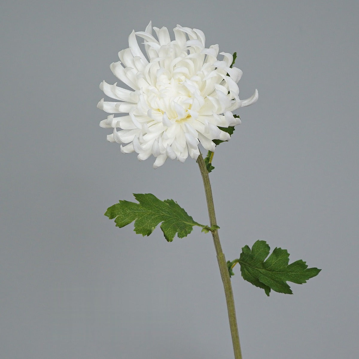 Kunstblume Zinnie, Einzelstiel mit 1 Blüte, PU, Herbstfarben im Vintage-Stil, für Hochzeit, Hotel und Dekoration