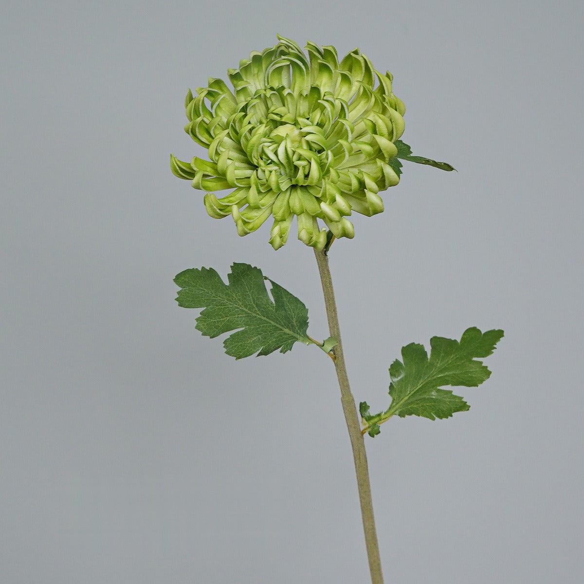Kunstblume Zinnie, Einzelstiel mit 1 Blüte, PU, Herbstfarben im Vintage-Stil, für Hochzeit, Hotel und Dekoration