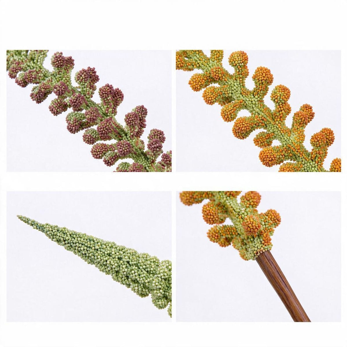 Künstliches Fuchsschwanzgras, Einzelstiel mit Schachtelhalm-Optik, PE/PVC, 81 cm – für Hochzeit, Deko und Gewerbe