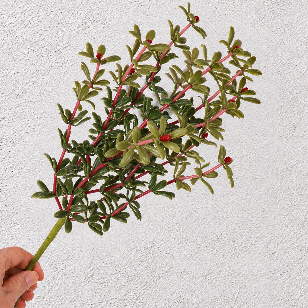 Künstliche Portulak-Pflanze (Bush) mit Stielen, Kunststoff PE/PVC, 34 cm, für Hochzeit, Schaufenster und Raumdekoration
