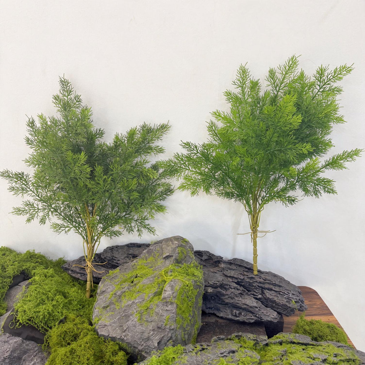 Kunstpflanze Asparagus Plumosus (Zierspargel), Busch mit 60 cm Höhe, Kunststoff PE/PVC, für Dekoration und Schaufenster
