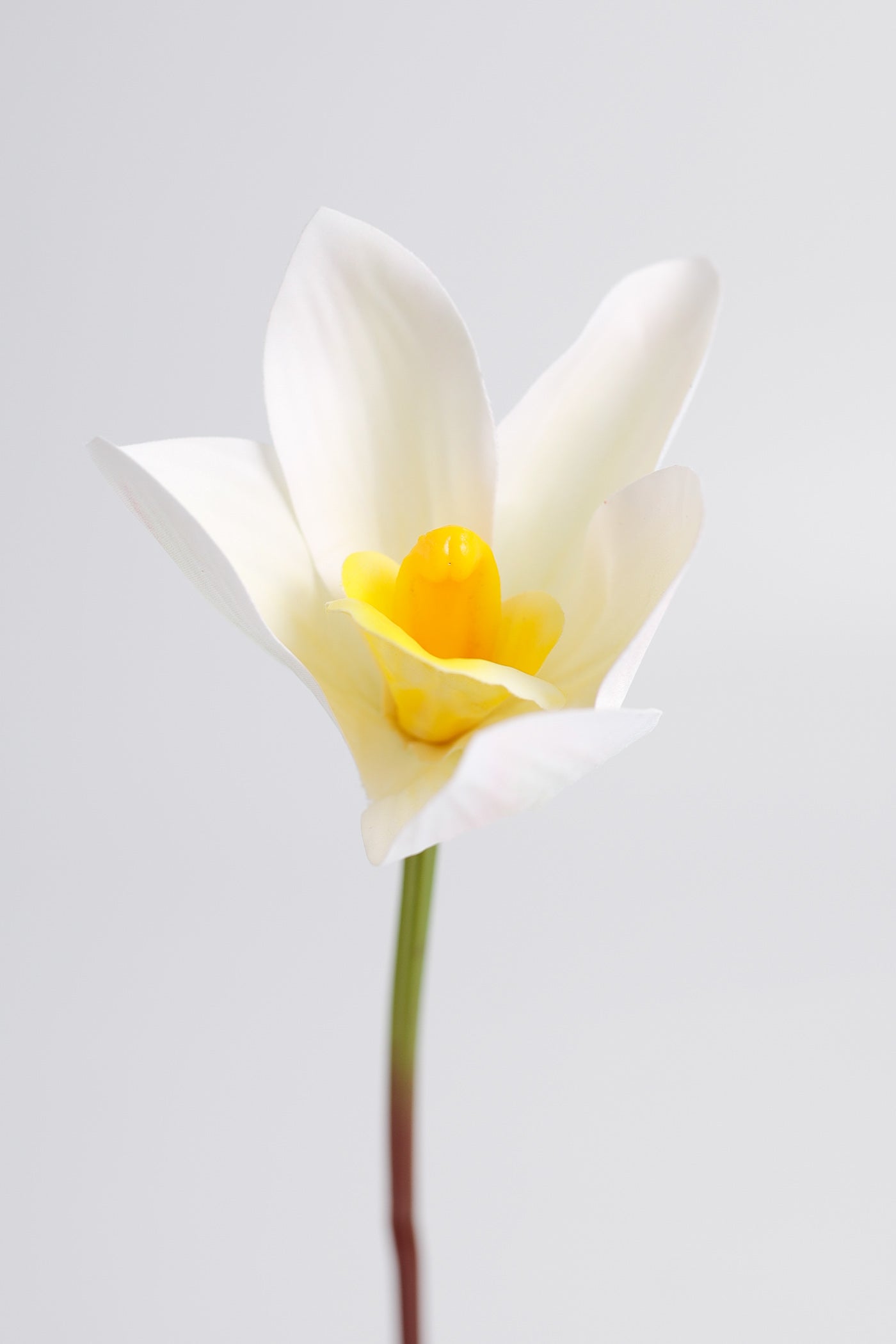 Künstliche Cymbidium-Orchidee mit Real-Touch, ca. 28 cm hoch – flexibler Stiel für Vase, DIY-Gestecke & Hochzeitsfloristik