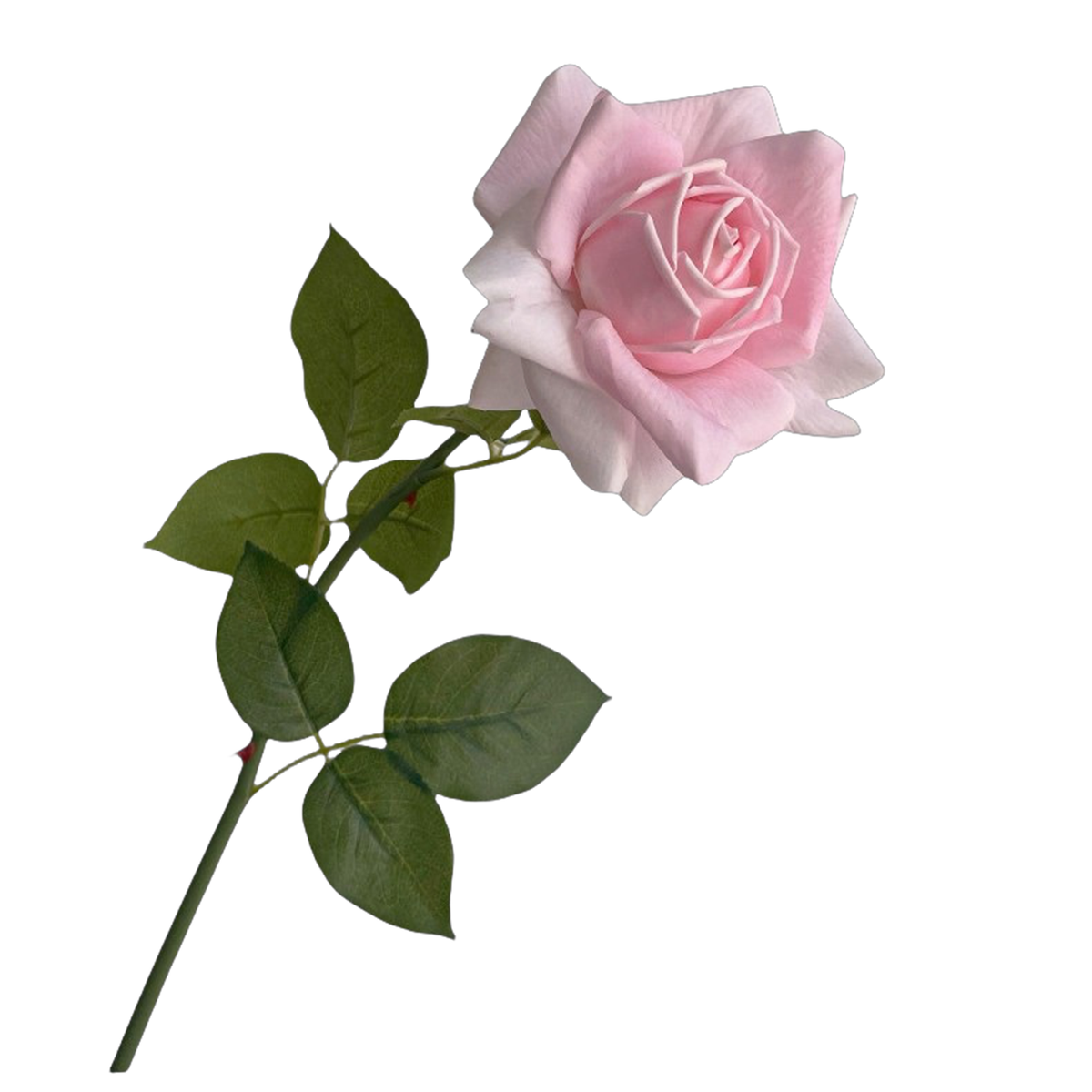 Real Touch Rose 73 cm – Gerüschte Kunstrose | Seidenstiel für Vase, Hochzeit & Floristik