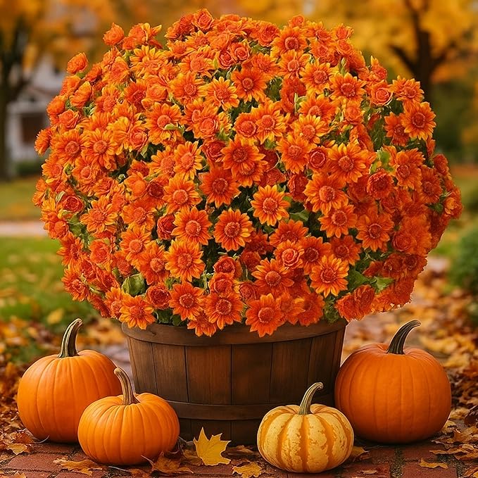10 Bündel Draußen liegende künstliche Chrysanthemen mit UV-Schutz Außenblumen
