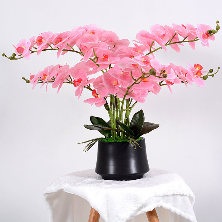 56cm Kunstblume Orchidee groß in Hochglanz-Keramiktopf Orchideen künstlich Kunstblumen wie echt künstliche Orchideen im Topf