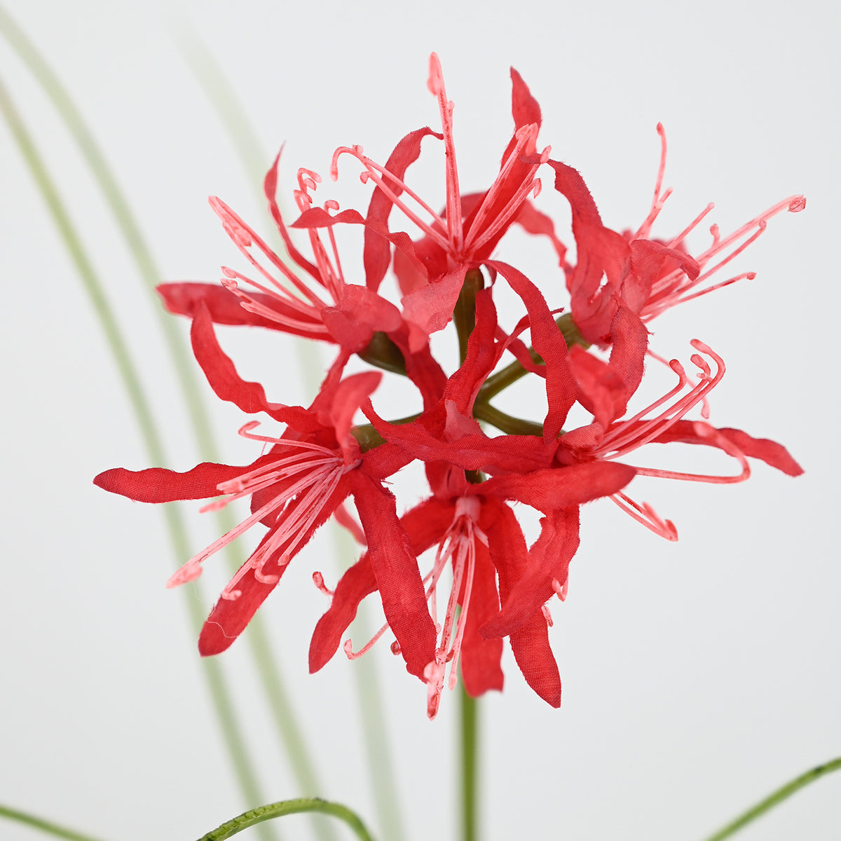 56 cm Künstliche Lycoris-Blume realistisch & pflegeleicht für Vase oder Dekoration