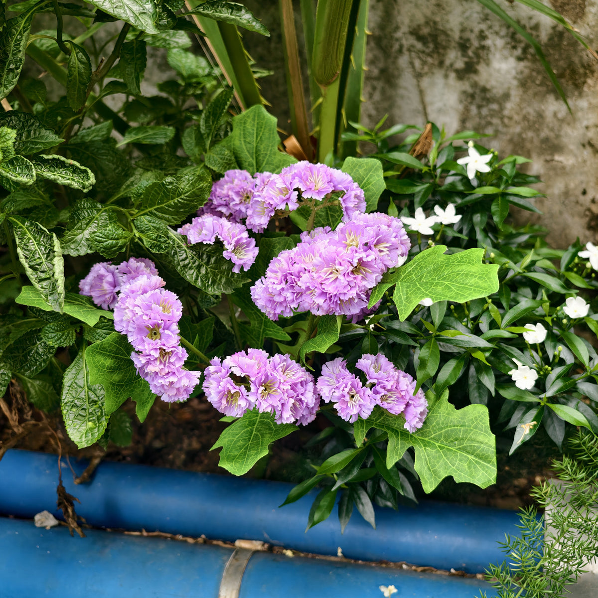 UV-Schutz Kunstblumen Vergissmeinnicht für Draußen | Wetterfester künstlicher Wildblumenstrauß für Balkon、Garten & Außenbereich | Pflegeleichte Frühlings & Sommerdeko