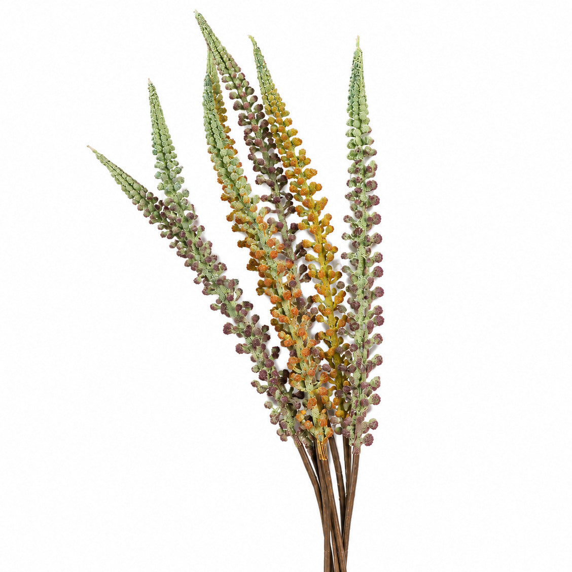 Künstliches Fuchsschwanzgras, Einzelstiel mit Schachtelhalm-Optik, PE/PVC, 81 cm – für Hochzeit, Deko und Gewerbe