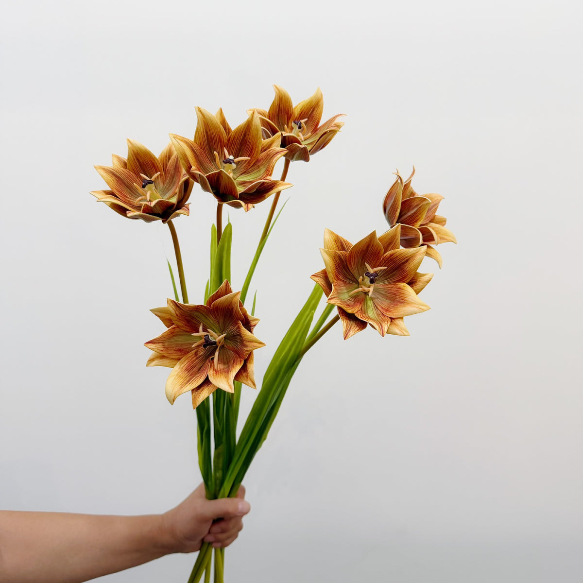 Künstliche Tulpe, einzelner Stängel mit 1 Blüte, 69 cm hoch, EVA-Material, für Hochzeiten, Wohnaccessoires und Gewerberäume