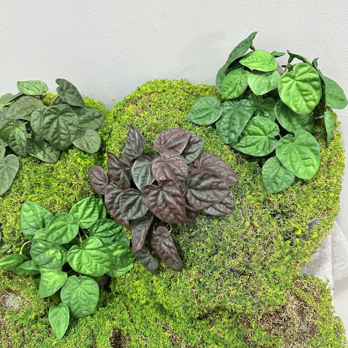 Künstliche Pfefferminzblatt-Pflanze Peperomia, 1 Büschel mit biegsamen Stielen, Kunststoff PE/PVC, für Wohnraum, Hotel und Hochzeit