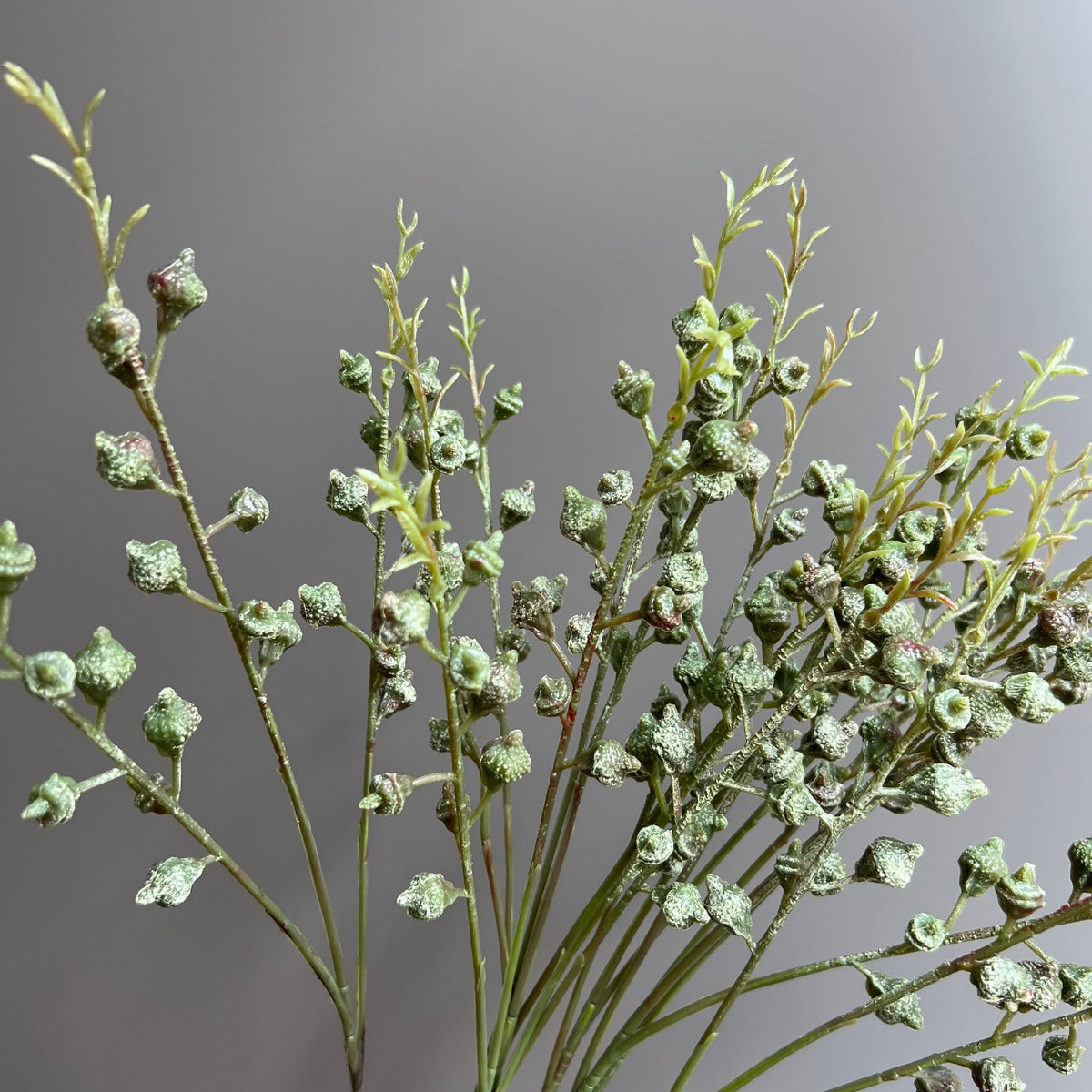 Kunstpflanze Eukalyptus mit Früchten, Bund mit 3 Zweigen, 5er-Pack, Kunststoffzweige, Hochzeit, Schaufenster, Hotel